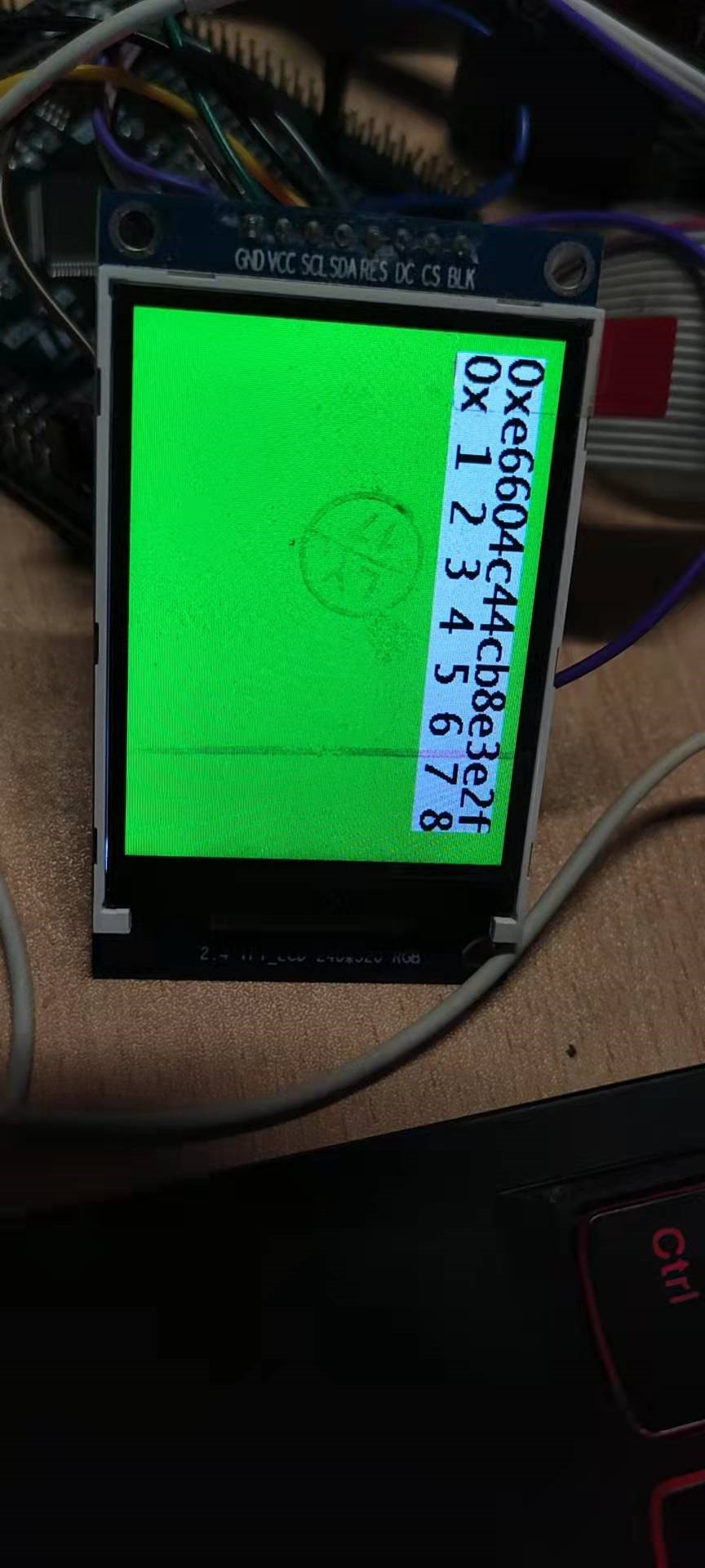 image-20220108133835422